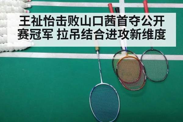 王祉怡击败山口茜首夺公开赛冠军 拉吊结合进攻新维度