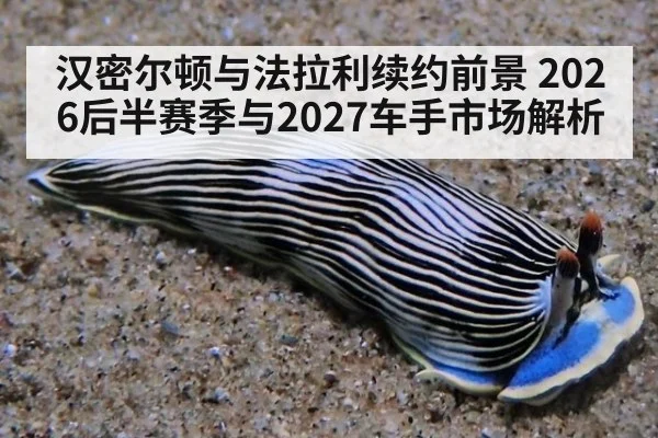 汉密尔顿与法拉利续约前景 2026后半赛季与2027车手市场解析